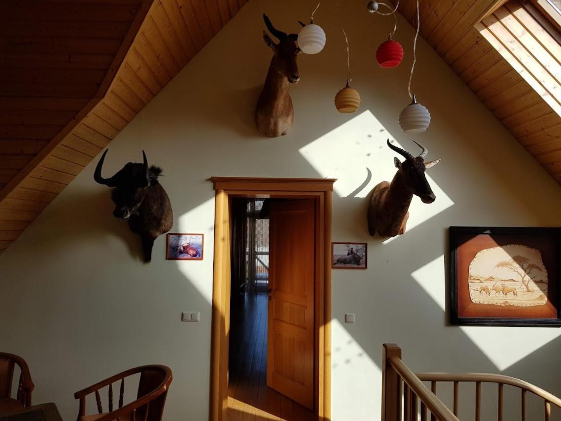 Apartamentai Hunter House Druskieniki Zewnętrze zdjęcie