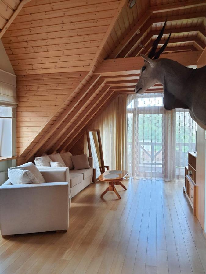 Apartamentai Hunter House Druskieniki Zewnętrze zdjęcie