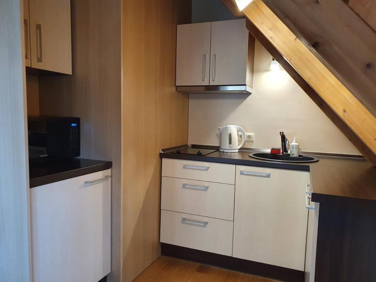 Apartamentai Hunter House Druskieniki Zewnętrze zdjęcie